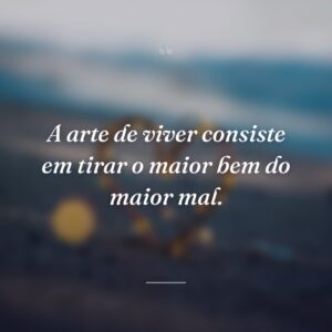 A arte de viver consiste em tirar o maior bem do maior mal.