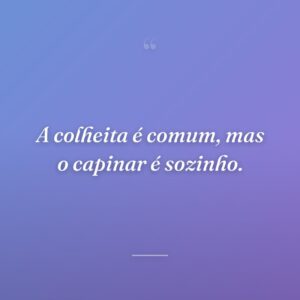 A colheita é comum, mas o capinar é sozinho.