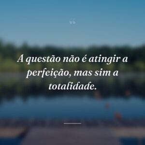 A questão não é atingir a perfeição, mas sim a totalidade.