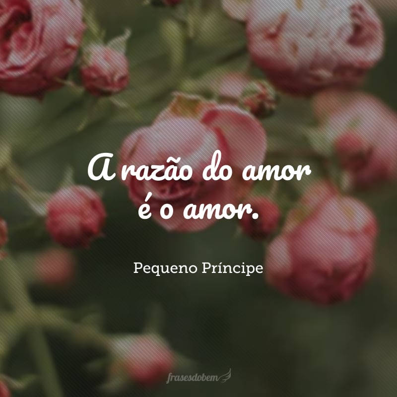 A razão do amor é o amor.