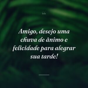 Amigo, desejo uma chuva de ânimo e felicidade para alegrar sua tarde!