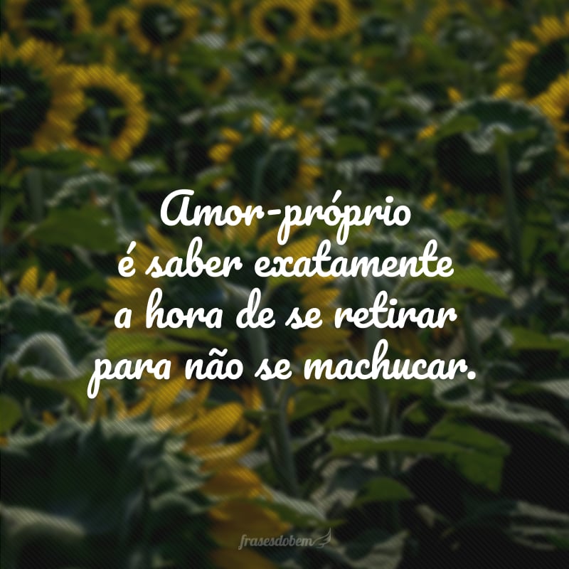 Amor-próprio é saber exatamente a hora de se retirar para não se machucar.