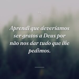 Aprendi que deveríamos ser gratos a Deus por não nos dar tudo que lhe pedimos.