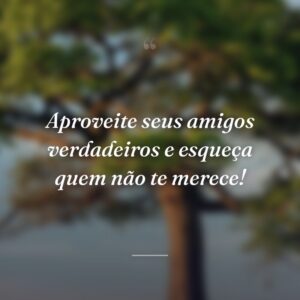 Aproveite seus amigos verdadeiros e esqueça quem não te merece!