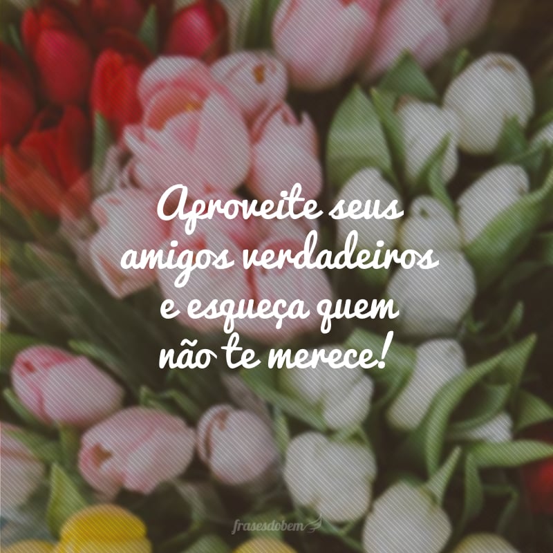 Aproveite seus amigos verdadeiros e esqueça quem não te merece!