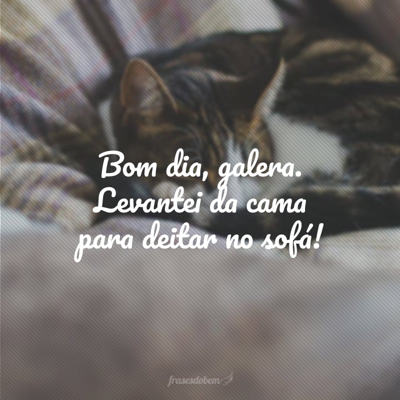 Bom dia, galera. Levantei da cama para deitar no sofá!