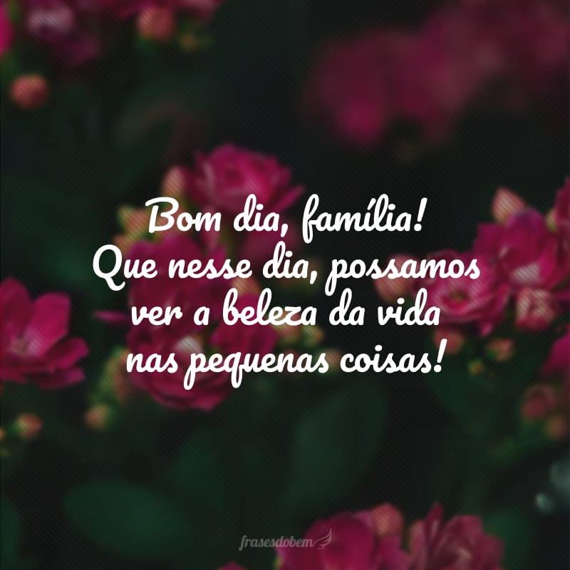 Bom dia, família! Que nesse dia, possamos ver a beleza da vida nas pequenas coisas!