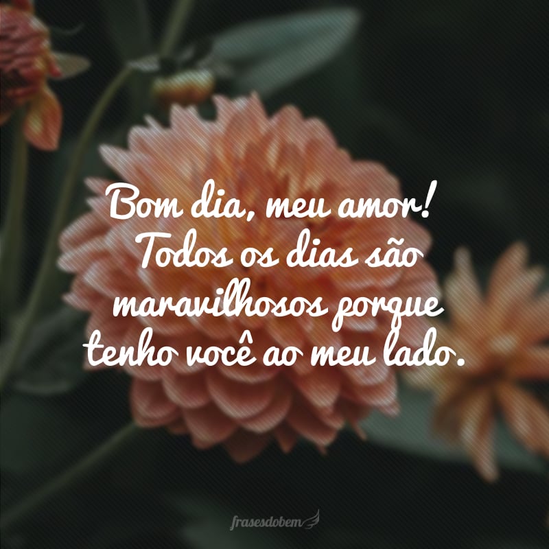 Bom dia, meu amor! Todos os dias são maravilhosos porque tenho você ao meu lado.