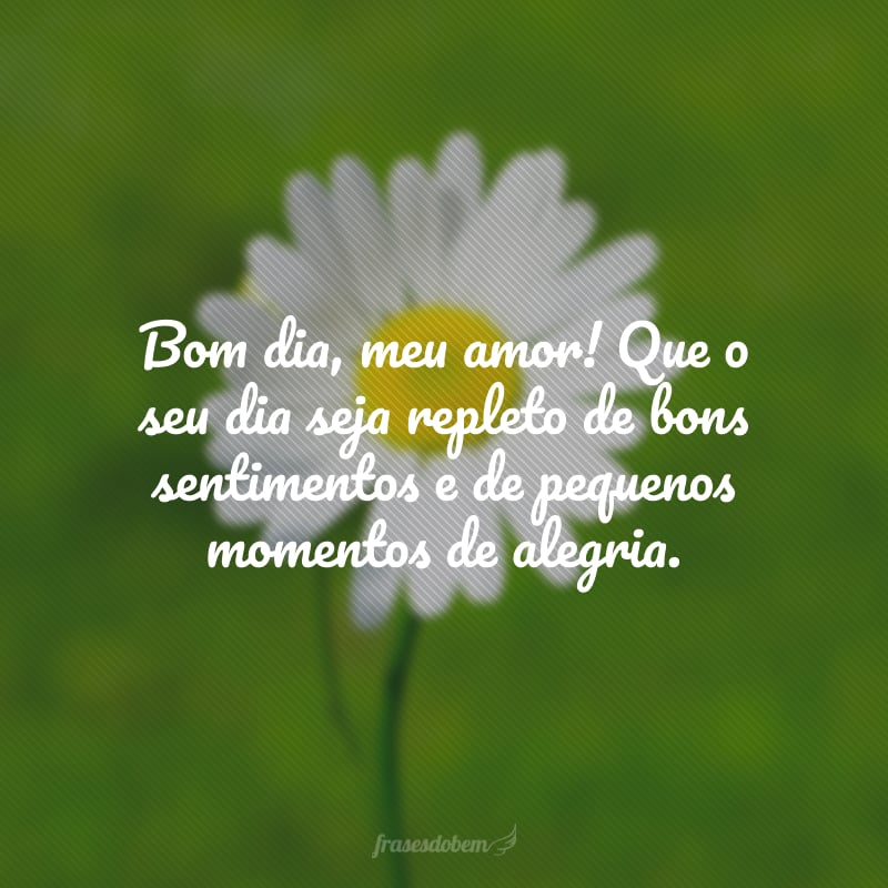 Bom dia, meu amor! Que o seu dia seja repleto de bons sentimentos e de pequenos momentos de alegria.