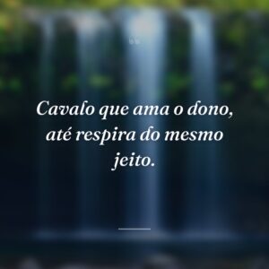 Cavalo que ama o dono, até respira do mesmo jeito.