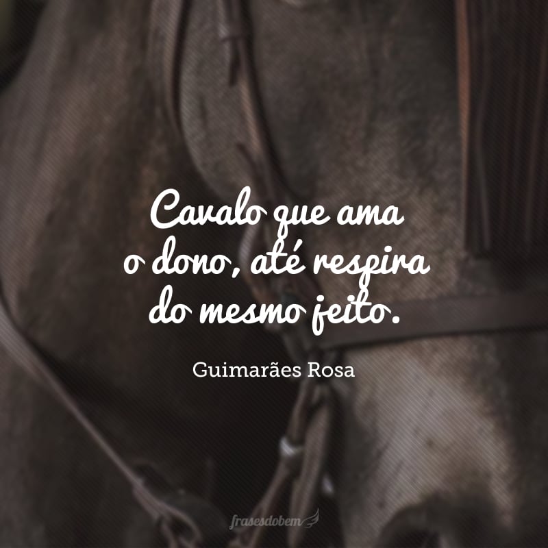 Cavalo que ama o dono, até respira do mesmo jeito.