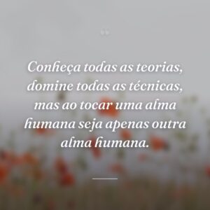 Conheça todas as teorias, domine todas as técnicas, mas ao tocar uma alma humana seja apenas outra alma humana.