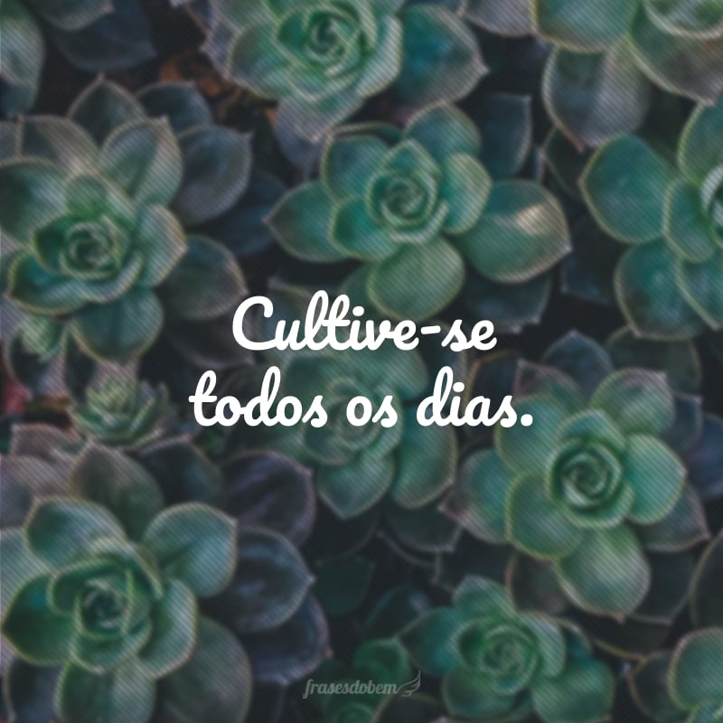 Cultive-se todos os dias. 