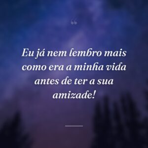 Eu já nem lembro mais como era a minha vida antes de ter a sua amizade!