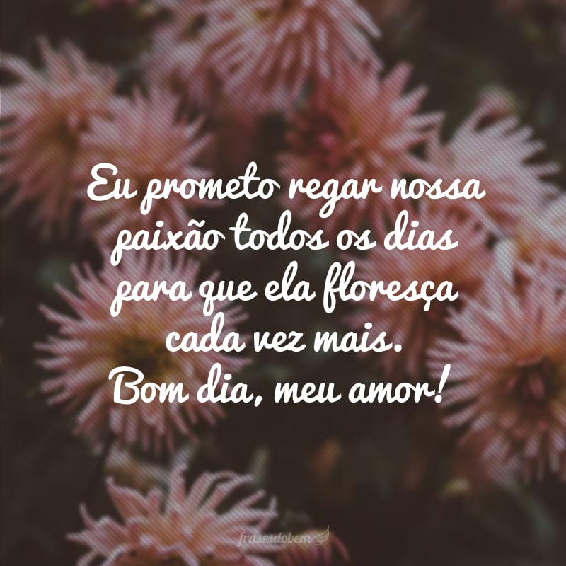 Eu prometo regar nossa paixão todos os dias para que ela floresça cada vez mais. Bom dia, meu amor!