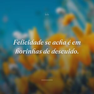 Felicidade se acha é em horinhas de descuido.
