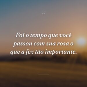 Foi o tempo que você passou com sua rosa o que a fez tão importante.