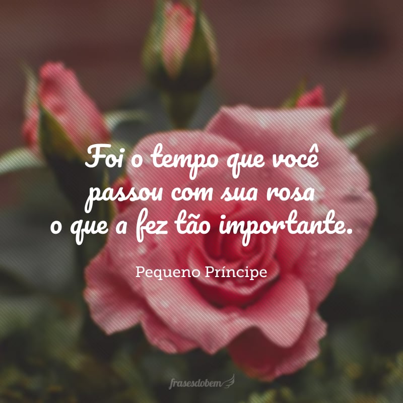 Foi o tempo que você passou com sua rosa o que a fez tão importante.