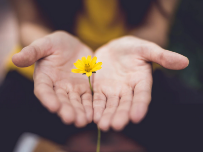 50 frases de dias melhores para você acreditar que eles virão