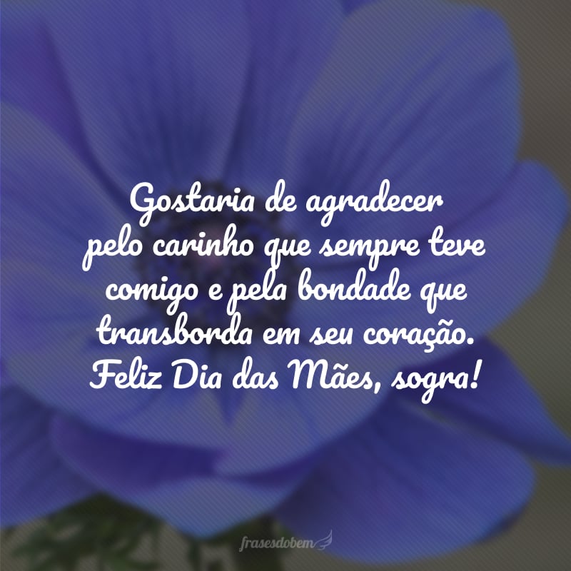 Gostaria de agradecer pelo carinho que sempre teve comigo e pela bondade que transborda em seu coração. Feliz Dia das Mães, sogra!