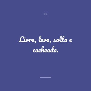 Livre, leve, solta e cacheada.
