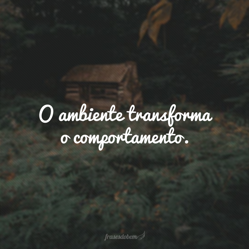 O ambiente transforma o comportamento. 