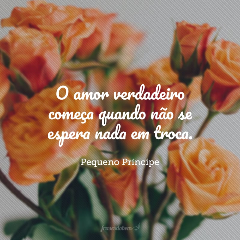 O amor verdadeiro começa quando não se espera nada em troca.