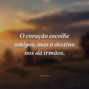 O coração escolhe amigos, mas o destino nos dá irmãos.