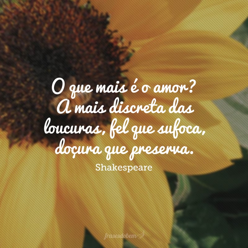 O que mais é o amor? A mais discreta das loucuras, fel que sufoca, doçura que preserva.