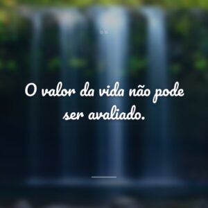 O valor da vida não pode ser avaliado.