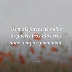 Os mais fortes de todos os guerreiros são esses dois: tempo e paciência.