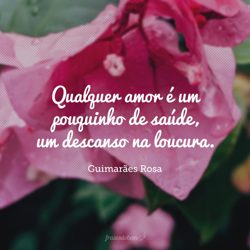 Qualquer amor é um pouquinho de saúde, um descanso na loucura.