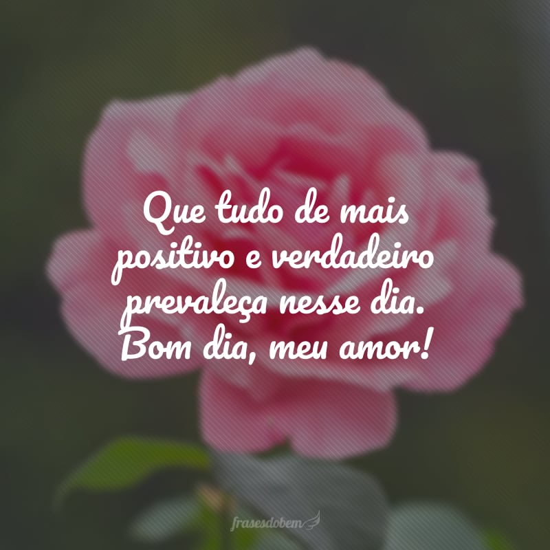 Que tudo de mais positivo e verdadeiro prevaleça nesse dia. Bom dia, meu amor!