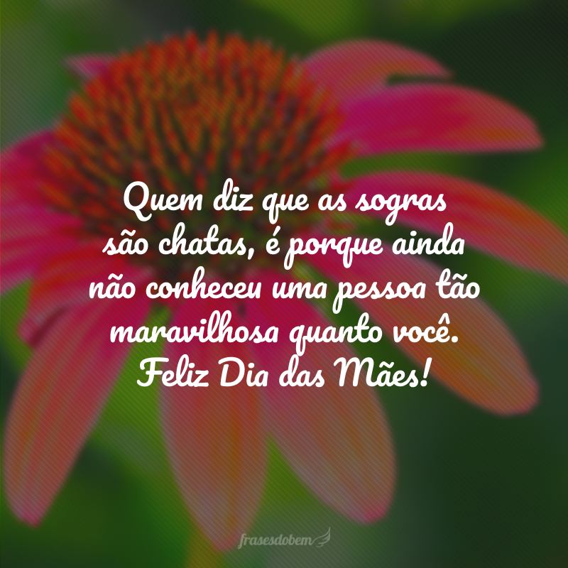 Quem diz que as sogras são chatas, é porque ainda não conheceu uma pessoa tão maravilhosa quanto você. Feliz Dia das Mães!