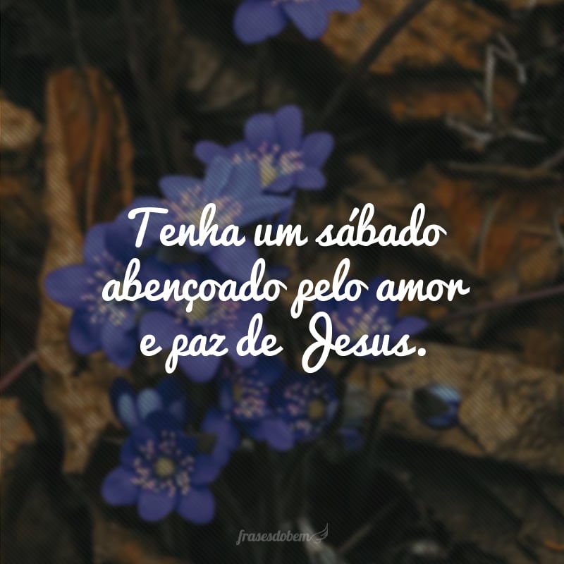 Tenha um sábado abençoado pelo amor e paz de Jesus.