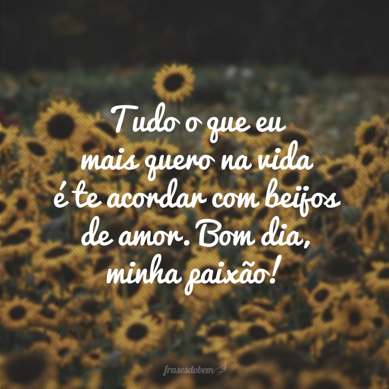 Tudo o que eu mais quero na vida é te acordar com beijos de amor. Bom dia, minha paixão!