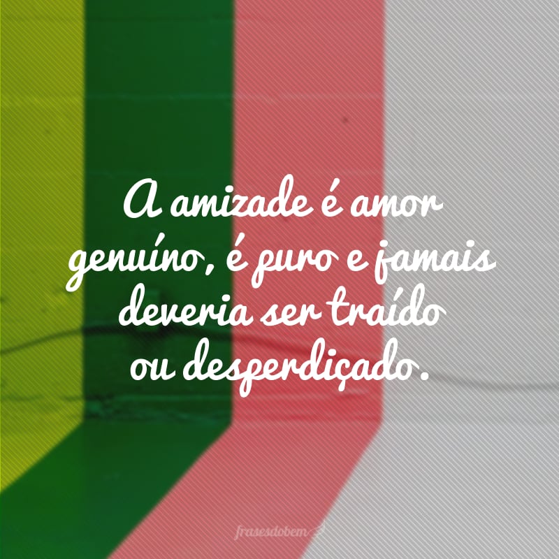 A amizade é amor genuíno, é puro e jamais deveria ser traído ou desperdiçado. 