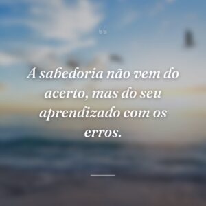 A sabedoria não vem do acerto, mas do seu aprendizado com os erros.