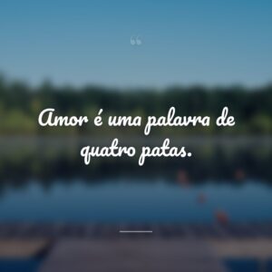 Amor é uma palavra de quatro patas.