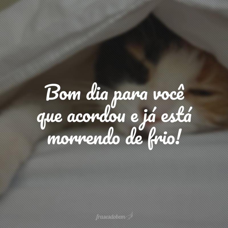 Bom dia para você que acordou e já está morrendo de frio!