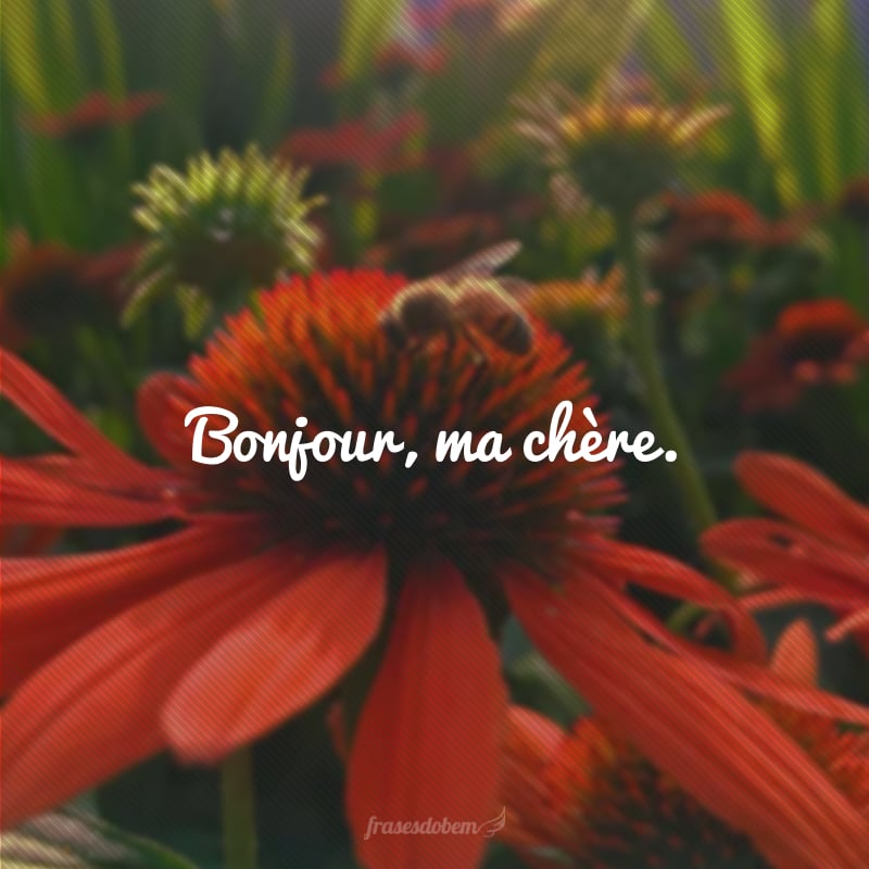 Bonjour, ma chère. (Bom dia, minha querida.)