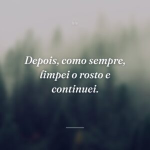 Depois, como sempre, limpei o rosto e continuei.