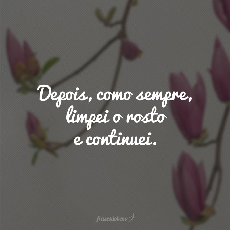 Depois, como sempre, limpei o rosto e continuei.