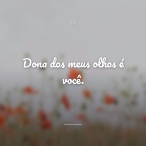 Dona dos meus olhos é você.