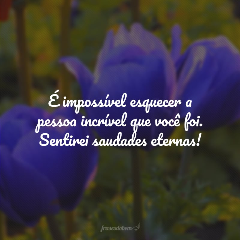 É impossível esquecer a pessoa incrível que você foi. Sentirei saudades eternas!