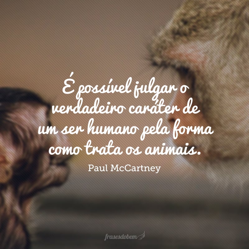 É possível julgar o verdadeiro caráter de um ser humano pela forma como trata os animais.