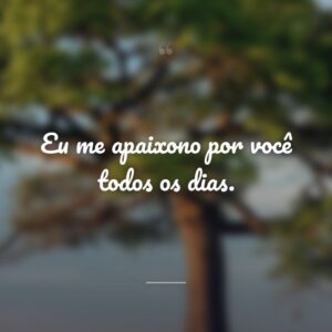 Eu me apaixono por você todos os dias.