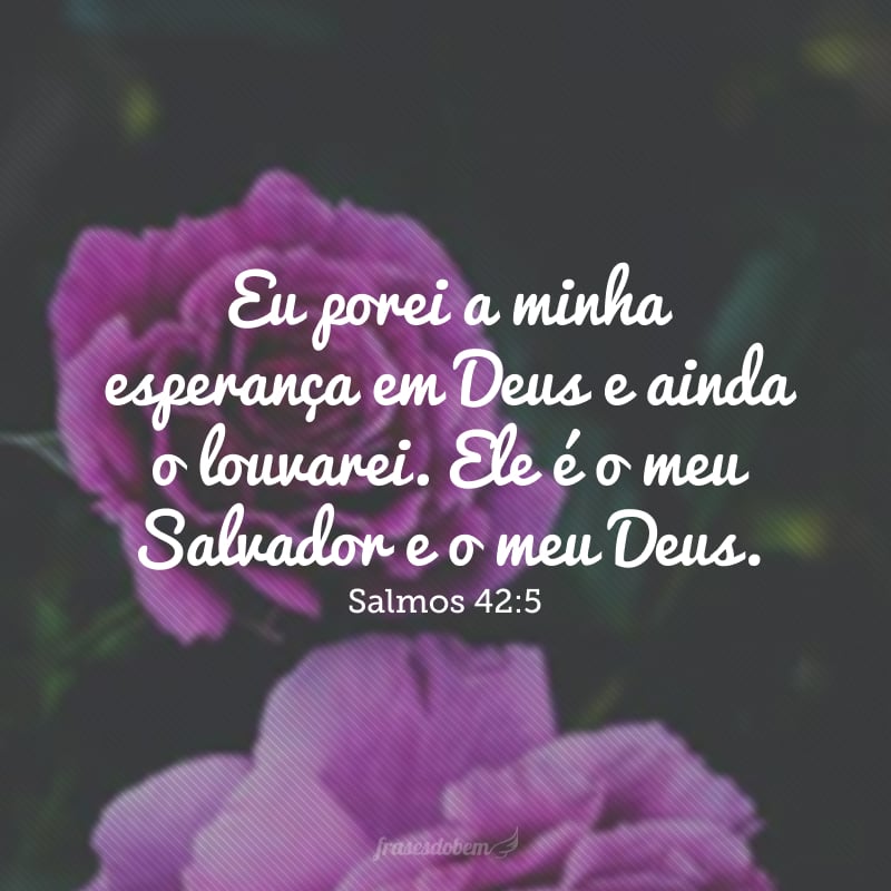 Eu porei a minha esperança em Deus e ainda o louvarei. Ele é o meu Salvador e o meu Deus. 