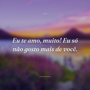 Eu te amo, muito! Eu só não gosto mais de você.