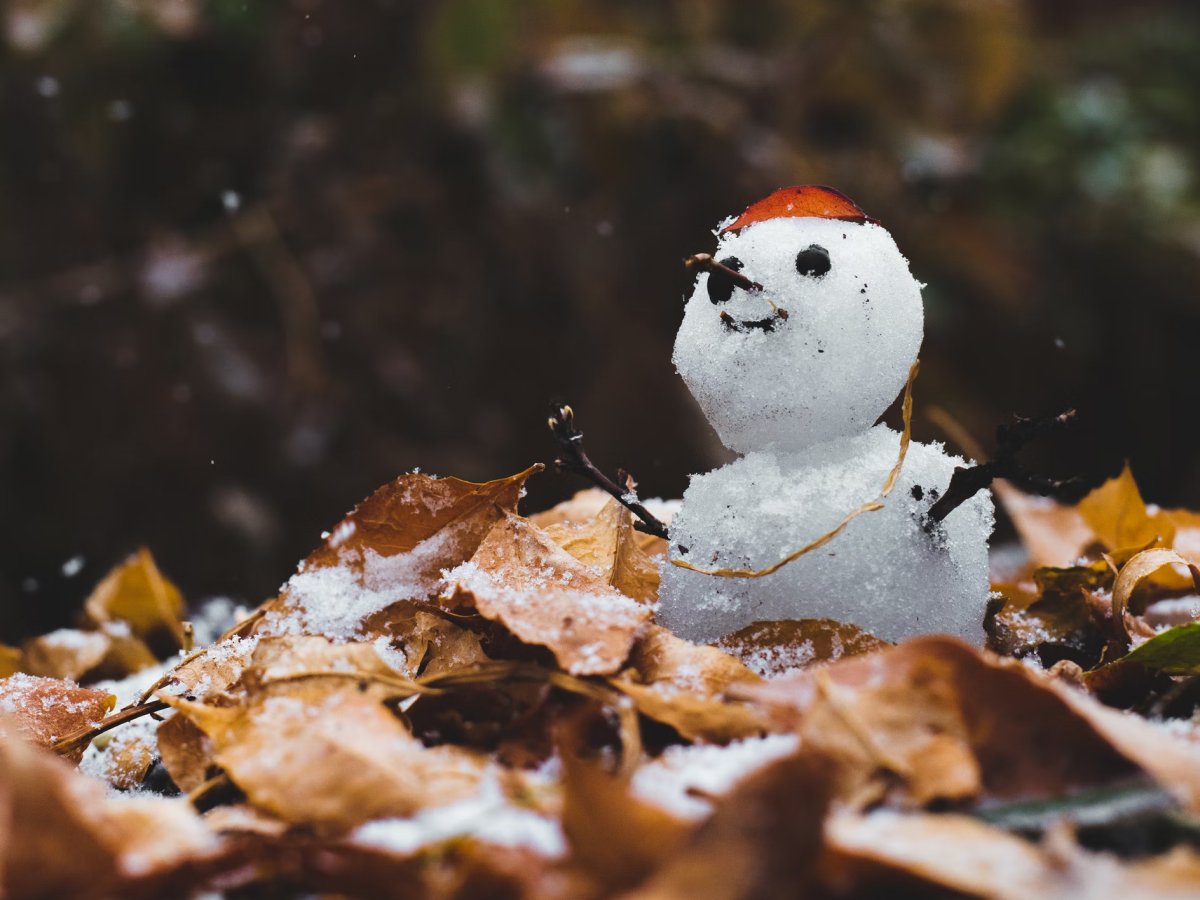 50 frases de inverno para se aquecer durante o frio da estação